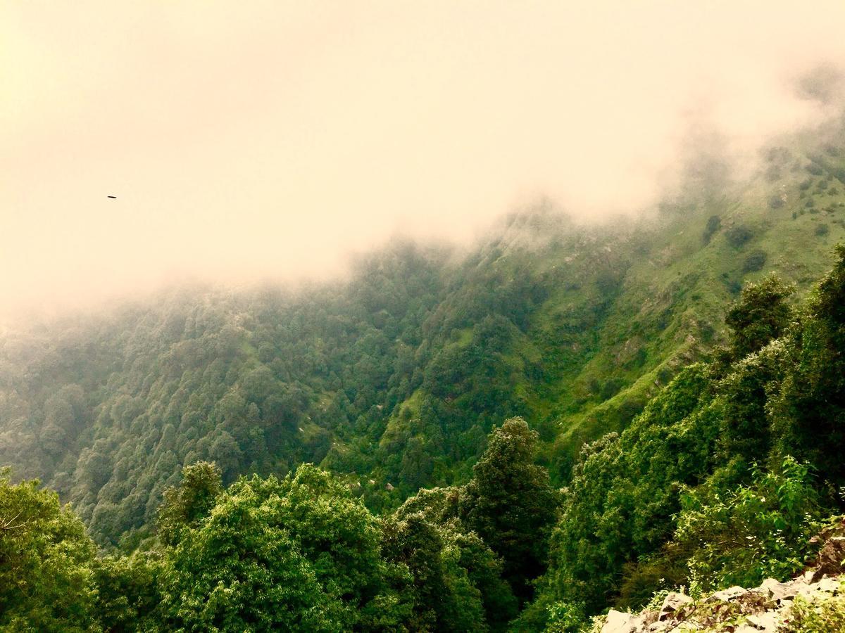 Отель The Unmad, Dharamkot Дармсала Экстерьер фото